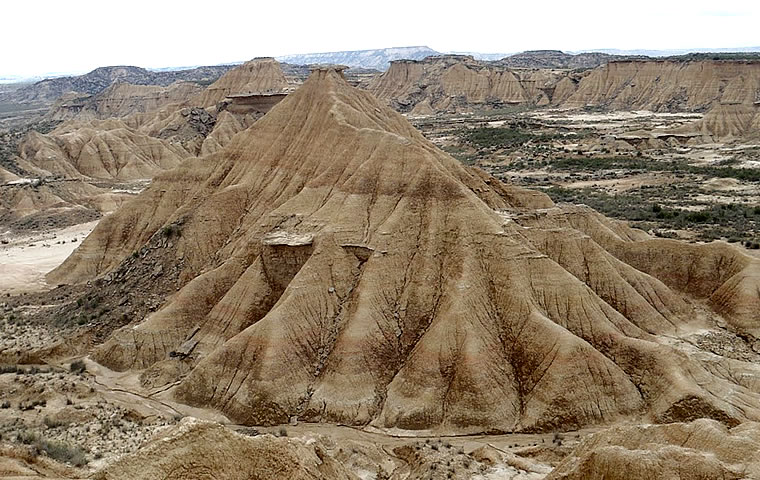 Bardena negra, en Aragón y Navarra