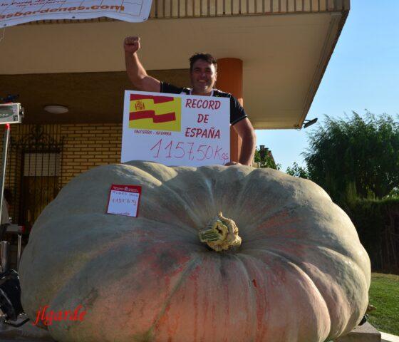 calabazas gigantes