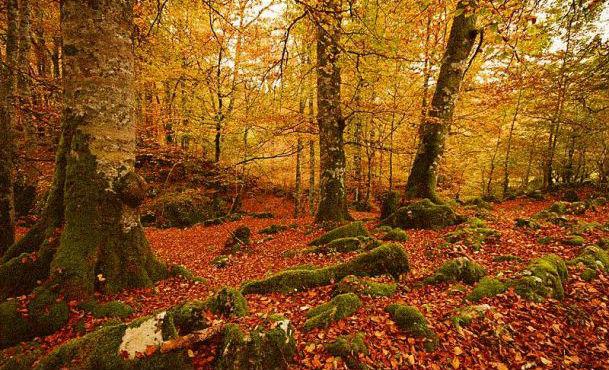 8 LIEUX À VISITER EN NAVARRE AVEC DES ENFANTS